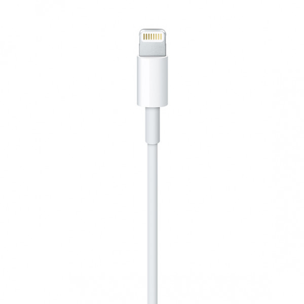 Apple Lightning to USB Cable 1m