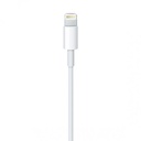 Apple Lightning to USB Cable 1m