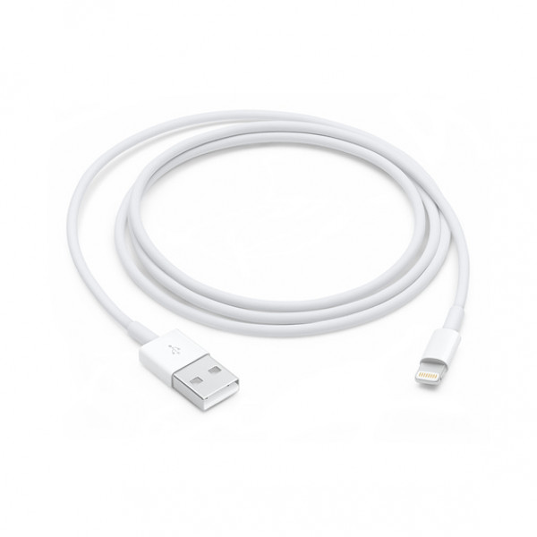 Apple Lightning to USB Cable 1m